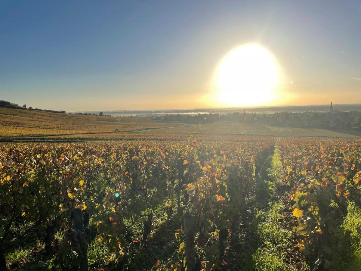 Le Clos De Miribel Givry  Εξωτερικό φωτογραφία