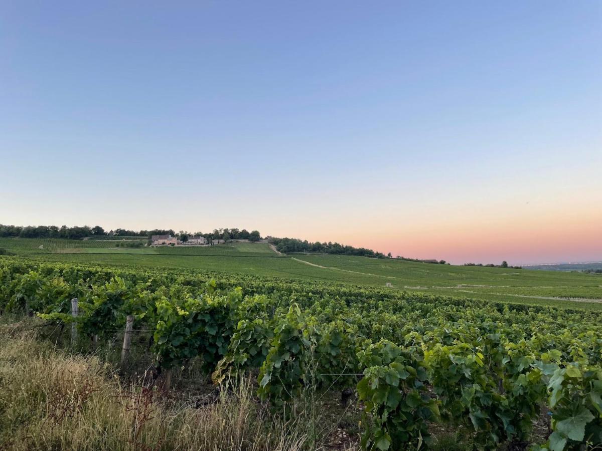 Le Clos De Miribel Givry  Εξωτερικό φωτογραφία