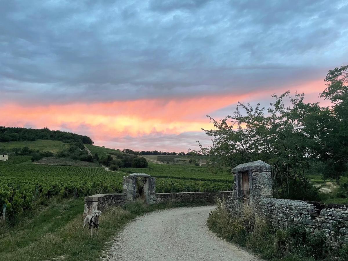 Le Clos De Miribel Givry  Εξωτερικό φωτογραφία